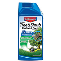 BioAdvanced 701810M Tree and Shrub Protect and Feed, Liquid, 32 oz Bag - 48 Pack