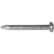 Reliable EPB34MR Escutcheon Pin, 3/4 in L, Steel, Brass - 5 Pack