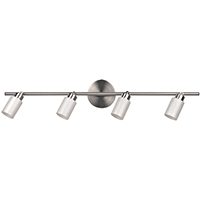 CANARM IT359A04BPT9 Track Lighting Fixture, 2-Lamp, Glass, Brushed Pewter