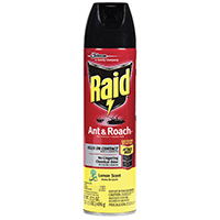 RAID 16479 Ant and Roach Killer, Liquid, Spray Application, 17.5 oz Aerosol Can
