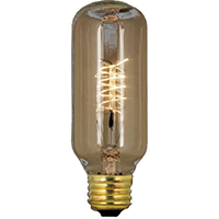 Feit Electric BP40T14/RP Incandescent Bulb, 40 W, T14 Lamp, Medium E26 Lamp Base, 75 Lumens, 2200 K