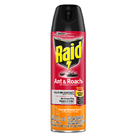 RAID 77533 Ant and Roach Killer, Aerosol, Orange Breeze, 17.5 oz
