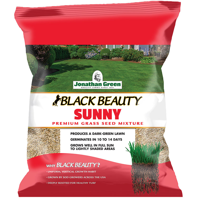 Jonathan Green Black Beauty 10895 Grass Seed, 1 lb Bag