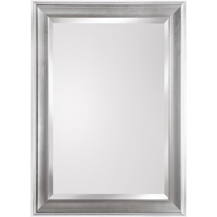 RENIN 200267 Epping Framed Mirror, 25 in W, 35 in H, Rectangular - 4 Pack