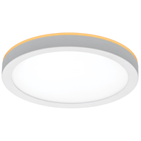 ETI LowPro 56568114 Ceiling Light with Nightlight, 120 V, 12 W, Integrated LED Lamp, 800 Lumens, Whi