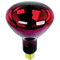 Feit Electric 250R40/R Incandescent Lamp, 250 W, R40 Lamp, Medium E26 Lamp Base, 2700 K Color Temp